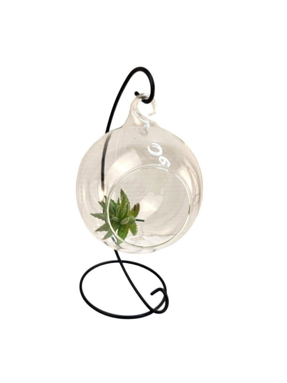Hanging Glass Terrarium Metal Stand Planter Air Plants Succulents Candle